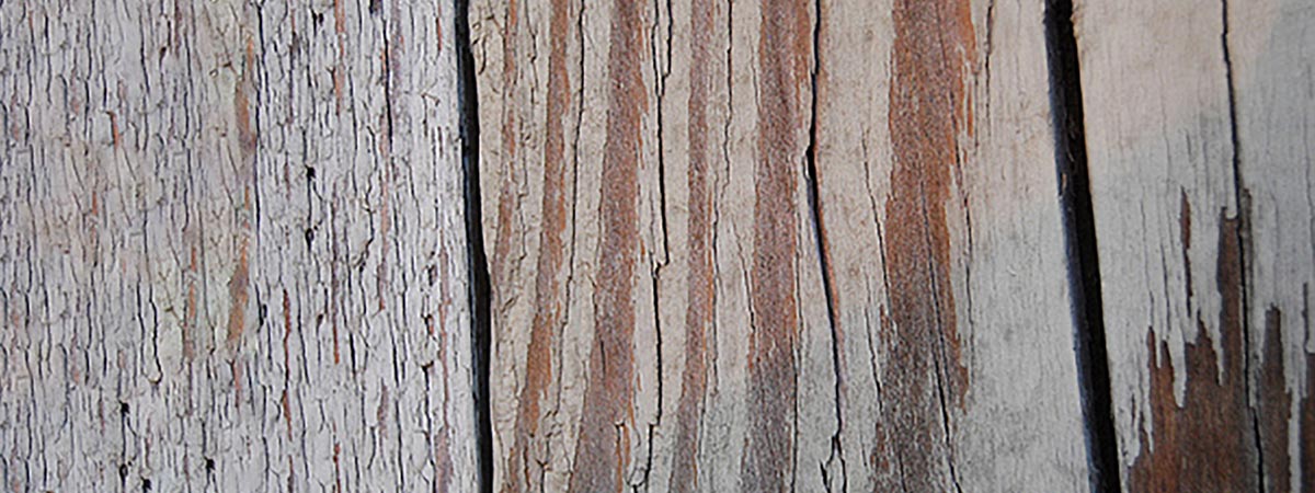 colla epossidica per legno